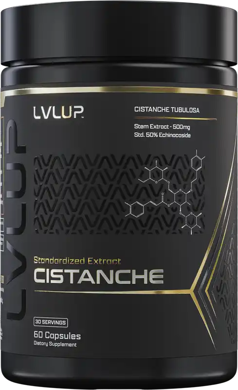 Cistanche