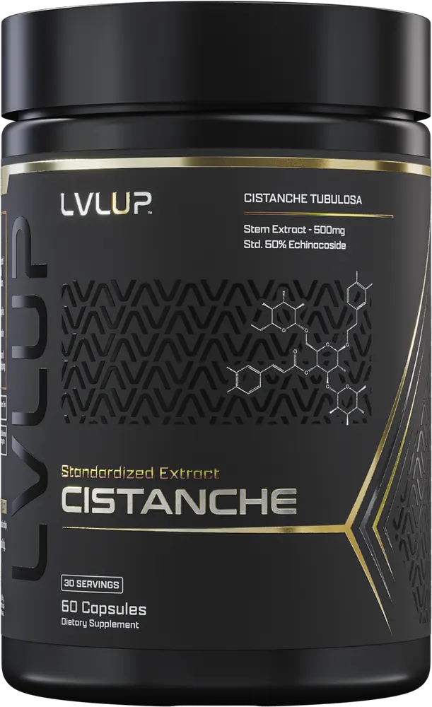 Cistanche